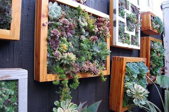 Cómo hacer un jardín vertical en tu piso de alquiler