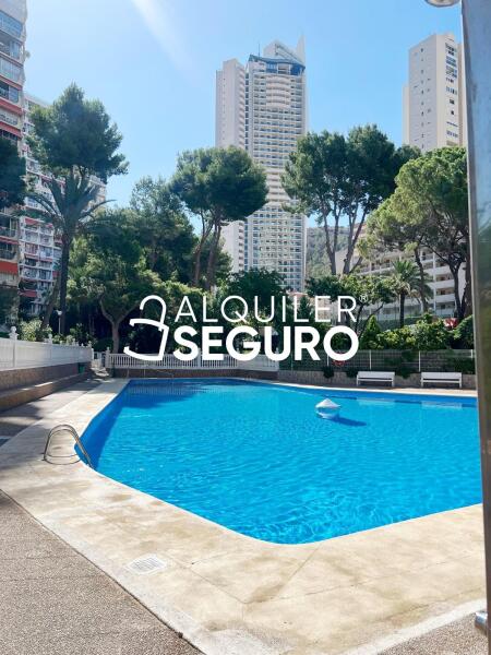 Piso en Avenida de París, BENIDORM ALICANTE