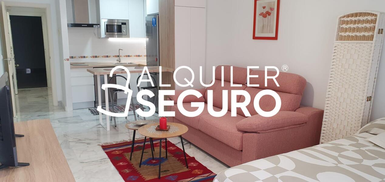 Piso en Calle Marcelino Camacho, SALOBREÑA GRANADA