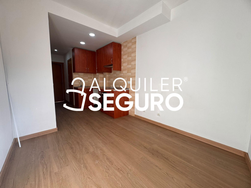 Inmueble en Calle Pedro Campos, MADRID