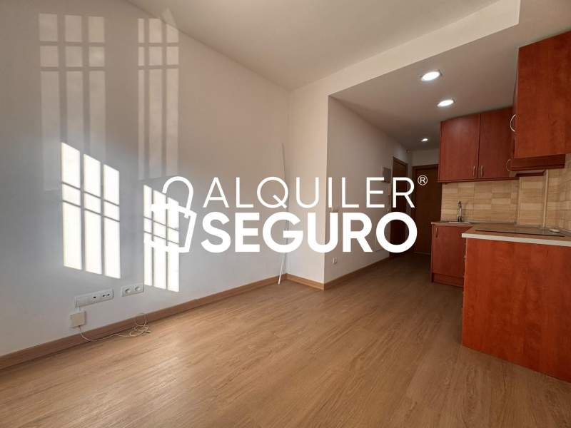 Inmueble en Calle Pedro Campos, MADRID