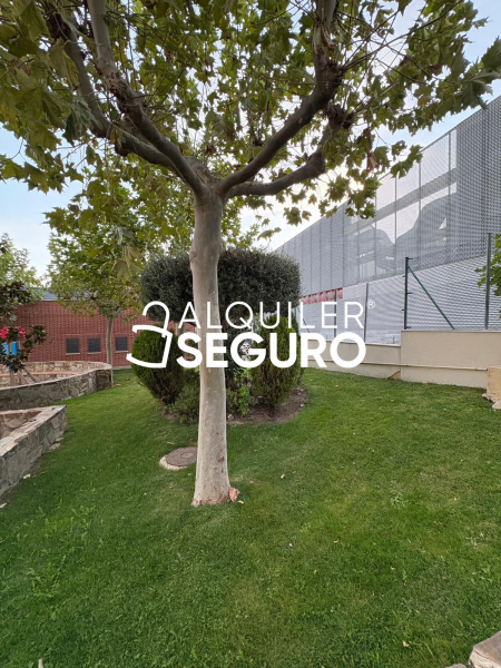 Inmueble en Calle Rosa Montero, MADRID