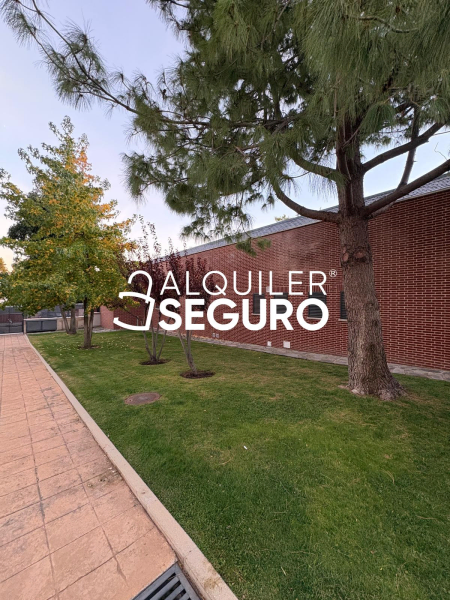 Inmueble en Calle Rosa Montero, MADRID