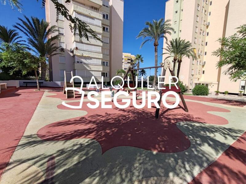 Piso en Calle Músico Juan Latorre Baeza, ALICANTE ALICANTE