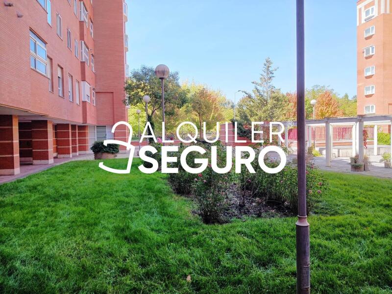 Piso en Calle Abedul, VALLADOLID VALLADOLID