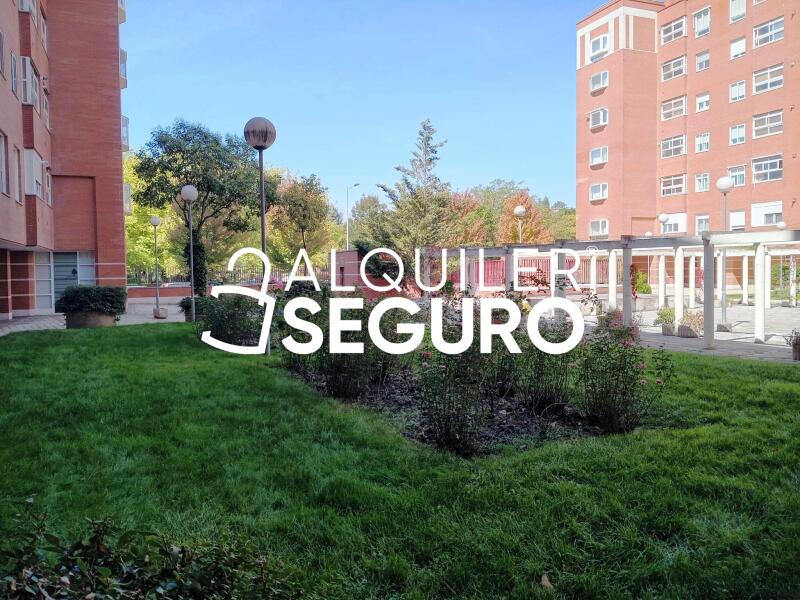 Piso en Calle Abedul, VALLADOLID VALLADOLID