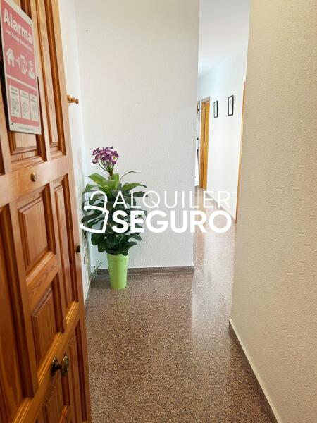 Piso en Avenida Juan Ramón Gimenez, CALASPARRA MURCIA