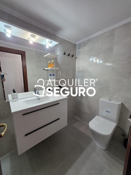 Piso en Plaza Orixe, LEIOA VIZCAYA-BIZKAIA