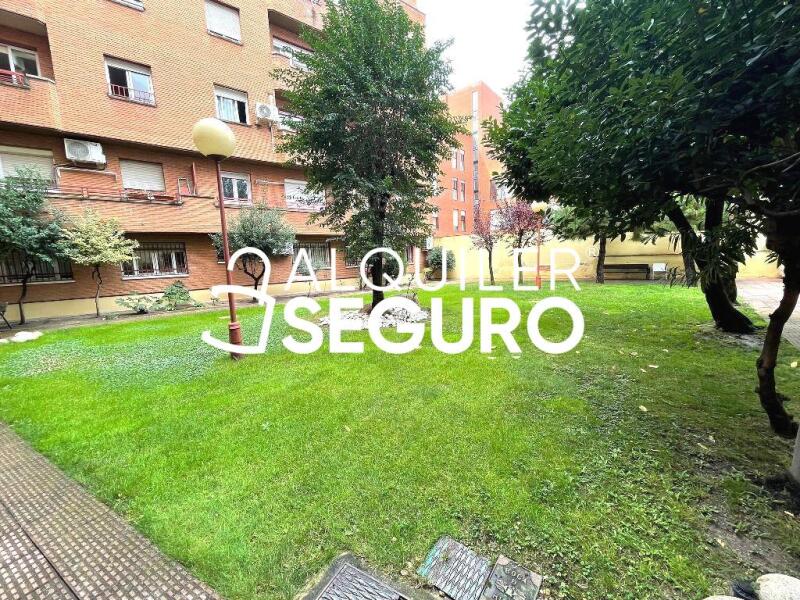 Inmueble en Calle Matilde Diez, MADRID