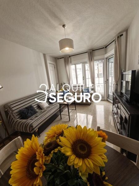 Inmueble en Calle  Dr. Azpitarte,, GRANADA