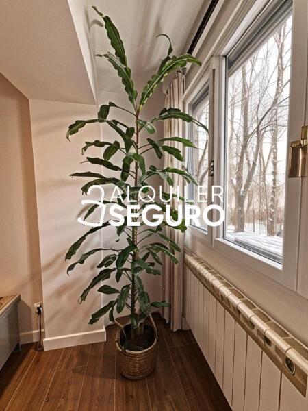 Inmueble en Paseo de los Melancólicos, MADRID