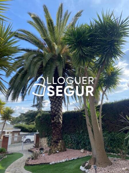 Piso en Calle Ronda Montmany, PALLEJÀ BARCELONA