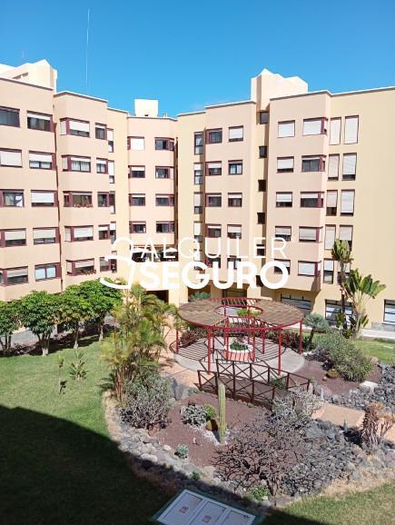 Piso en Calle Consejal Luis Maria Pereira Garcia , LAS PALMAS DE GRAN CANARIA LAS PALMAS