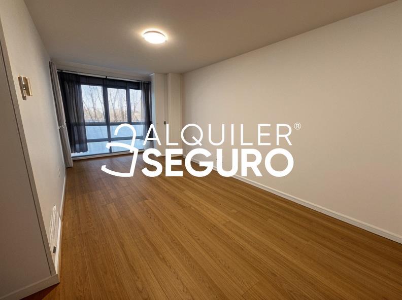 Inmueble en Calle del Pepion, MADRID