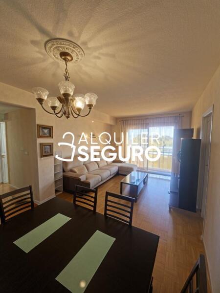 Piso en Paseo Doctor Fernández Iparaguirre, GUADALAJARA GUADALAJARA