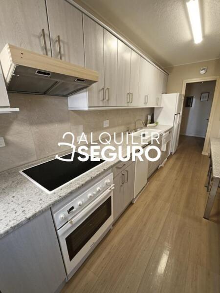 Piso en Paseo Doctor Fernández Iparaguirre, GUADALAJARA GUADALAJARA