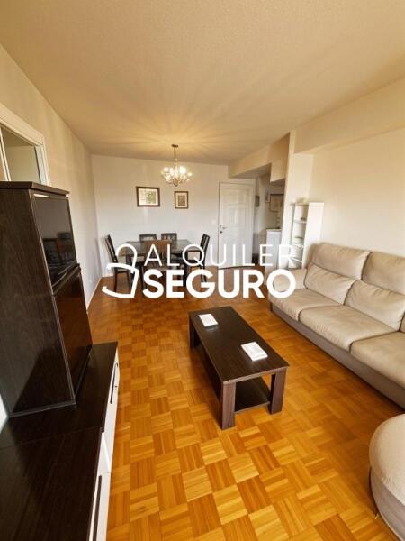 Piso en Paseo Doctor Fernández Iparaguirre, GUADALAJARA GUADALAJARA