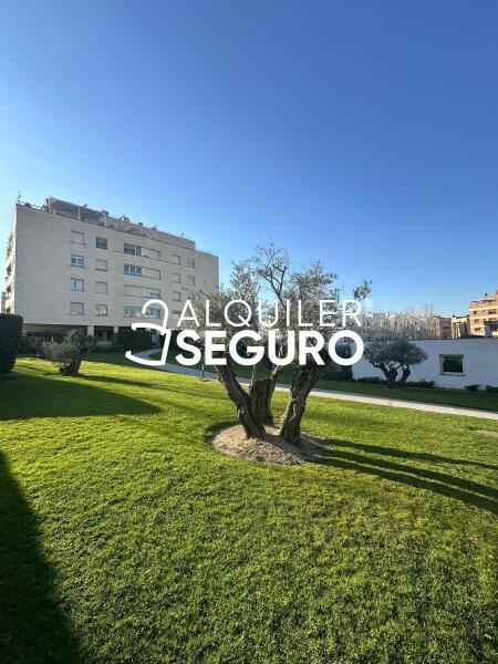 Inmueble en Calle Yecora, MADRID