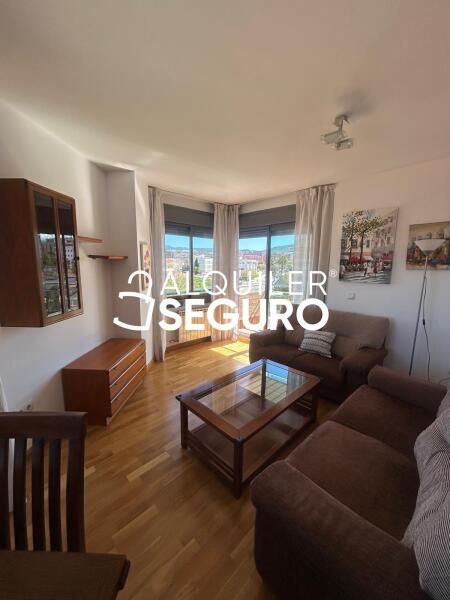 Piso en Calle Periodista Aquilino Morcillo Herrera, GRANADA GRANADA