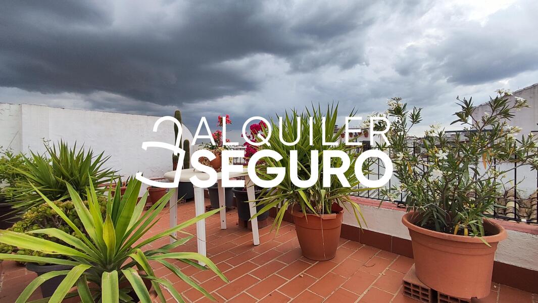 Piso en Calle Rivas y Palma, CÓRDOBA CÓRDOBA