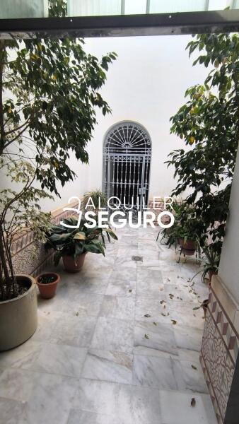Piso en Calle San Luis , SEVILLA SEVILLA